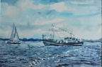 Zatoka Pucka